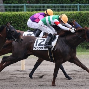 2018年5月13日　3歳未勝利戦　ゴール前