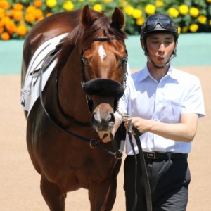 2018年6月3日　3歳未勝利戦　パドック