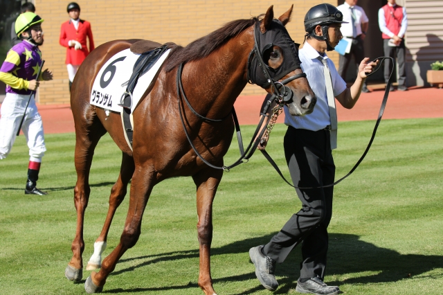 2018年10月21日　3歳以上500万下　パドック グランサム