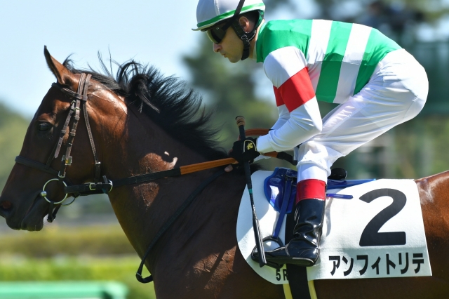 返し馬 アンフィトリテ