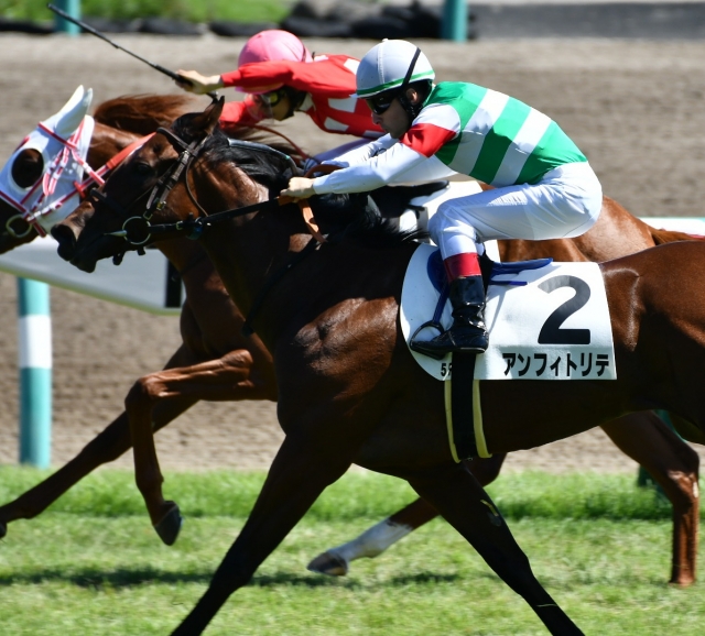 直線 アンフィトリテ