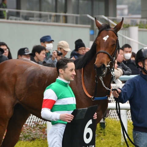 2連勝❗ アンフィトリテ