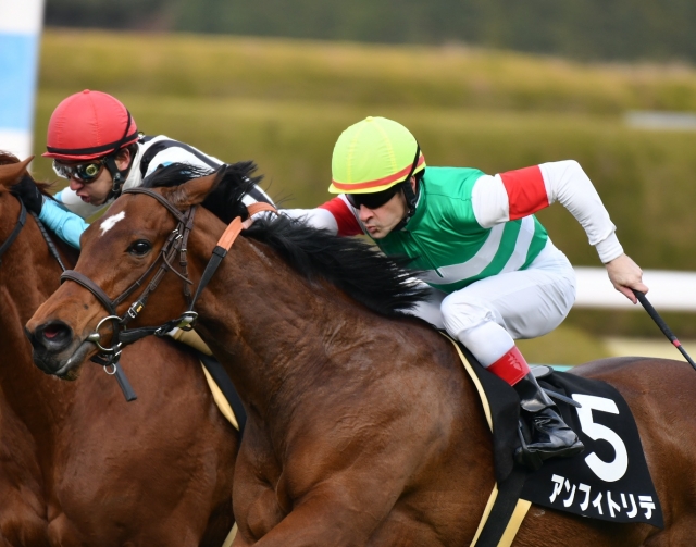 3連勝❗ アンフィトリテ
