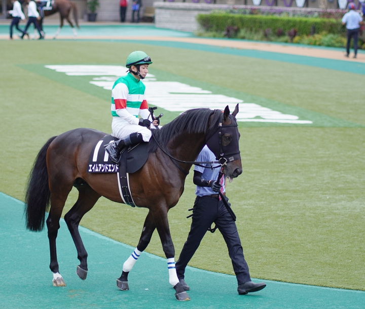 2021/10/16 白秋S(3勝クラス) エイムアンドエンド