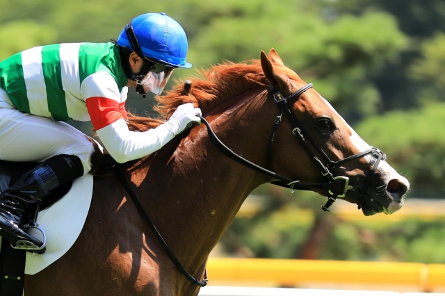 2018.8.4 新潟6R  インボルク