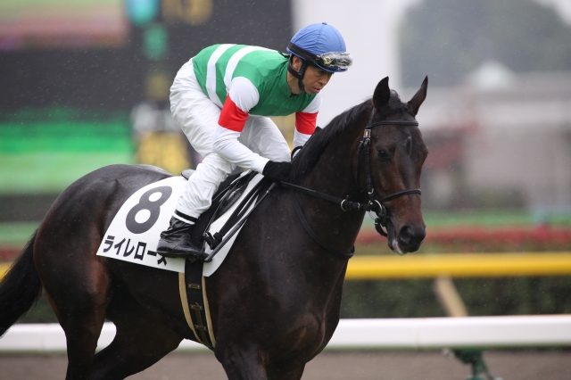 新馬戦(返し馬) ライレローズ