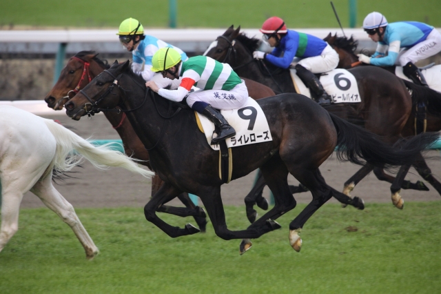 20181223 3歳500万下 レース ライレローズ