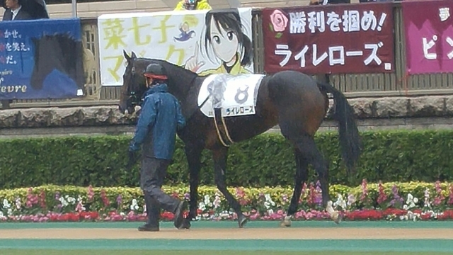 パドック ライレローズ