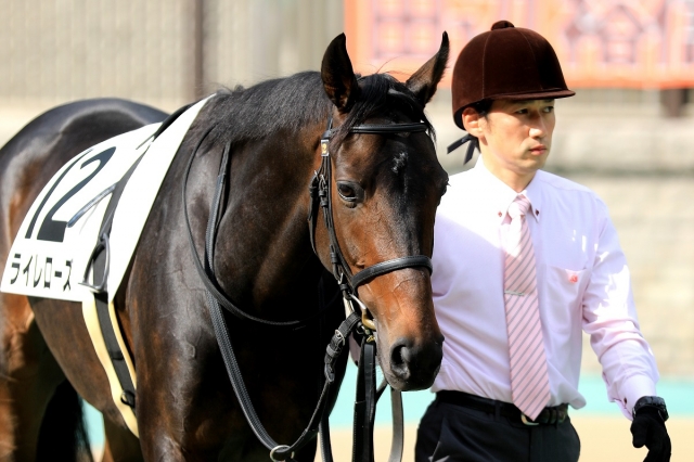 2018.10.28 東京7R ライレローズ