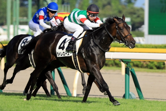 2019.8.3 新潟12R 3歳以上1勝C ライレローズ