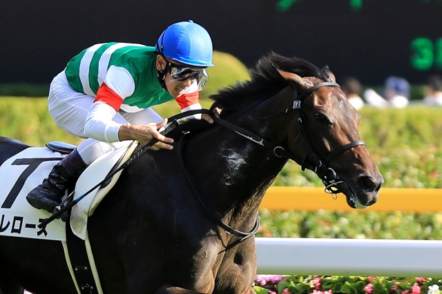 2019.10.5 東京9Ｒ 3歳以上1勝クラス ライレローズ