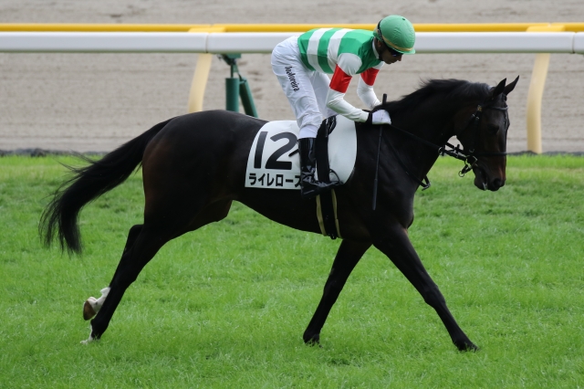 2018年10月28日 3歳以上500万下 馬場入場 ライレローズ