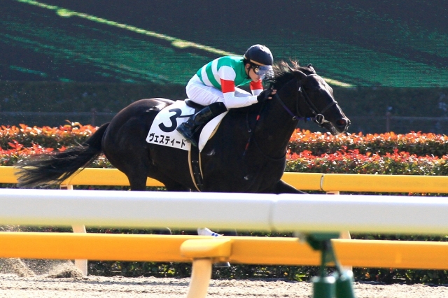 2018.2.11 東京3R 新馬戦 ヴェスティード