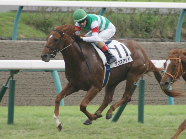 ６戦目ゴール前 サクステッド