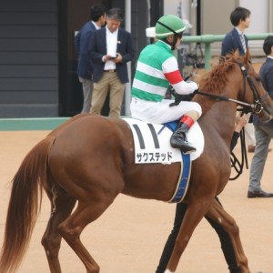 ６戦目本馬場入場