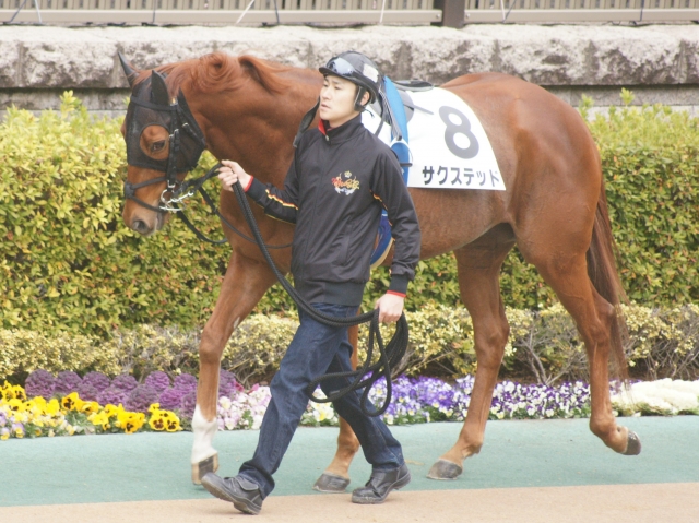 ９戦目パドック サクステッド