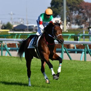 返し馬