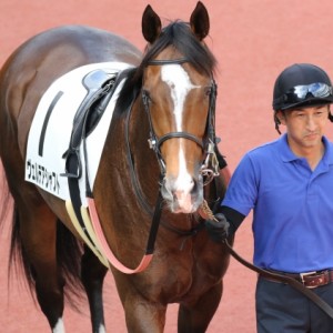 2018年6月30日　3歳以上500万下　パドック