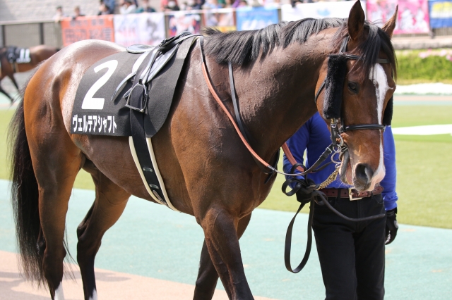 2019年4月21日 石和特別 パドック ヴェルテアシャフト