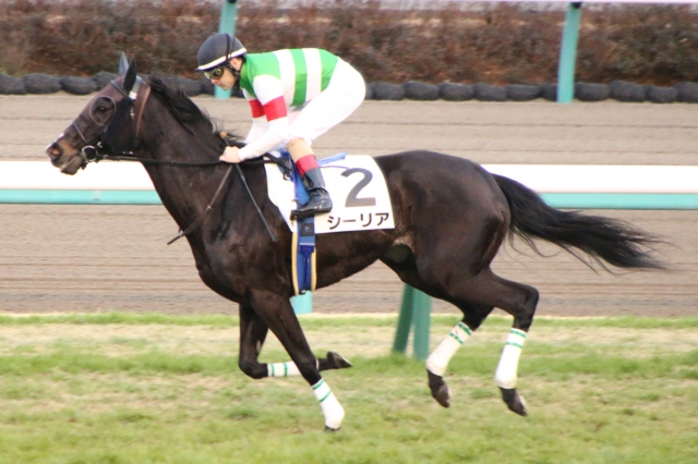 ゴール前 シーリア