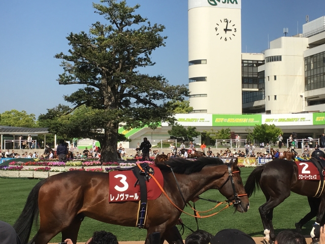 パドック レノヴァール