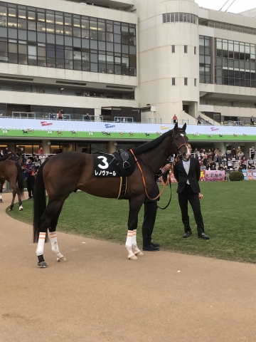 万葉Ｓパドックにて、ジャッキー待ち レノヴァール