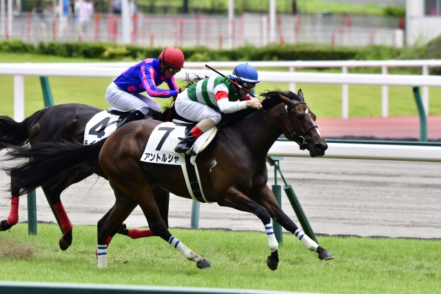 2017.07.23 新馬 アントルシャ