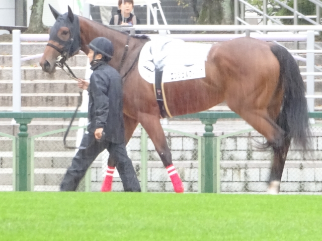 エンジェルウィング２戦目パドック③ エンジェルウィング