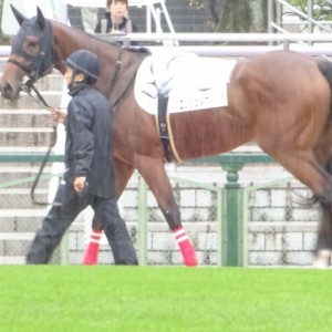 エンジェルウィング２戦目パドック③