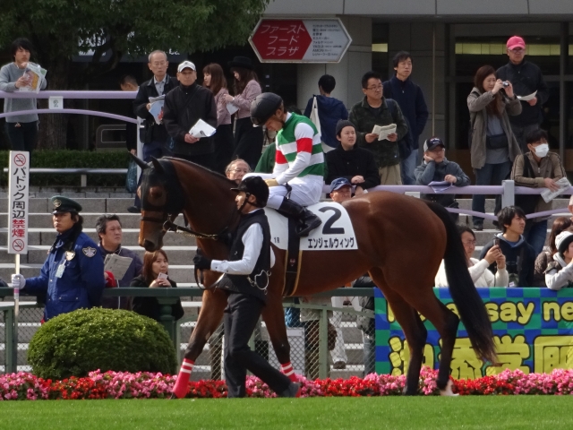 エンジェルウィング3戦目パドック⑥ エンジェルウィング