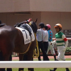 17/09/18パドック