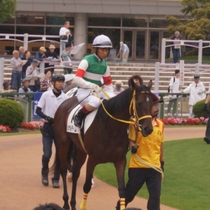 17/10/07パドック