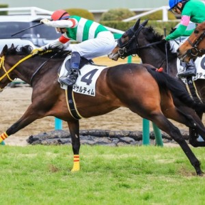 豆じい渾身の！