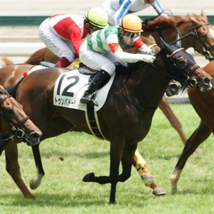 新馬戦レース中
