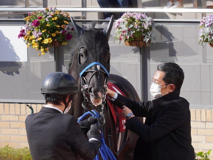 2021/3/14 金鯱賞(G2) グローリーヴェイズ