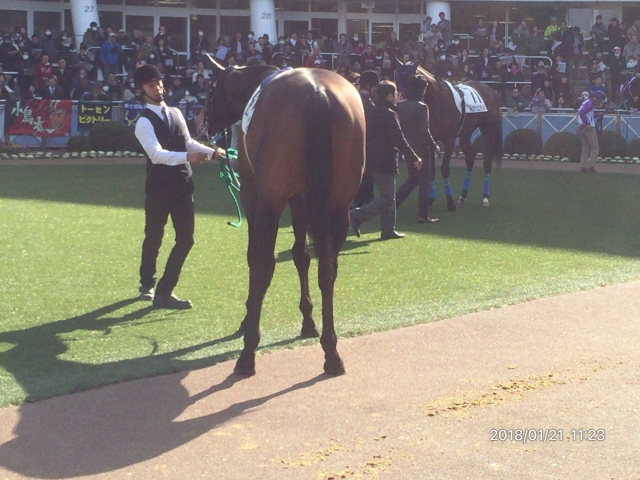 パドックにて グロンフォール