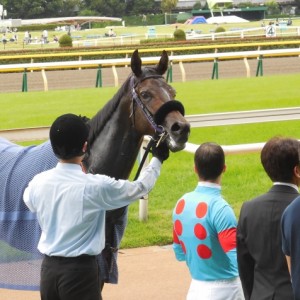 ウィナーズサークル