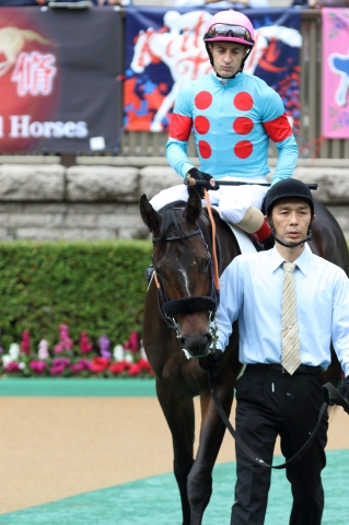 パドック キャンディケイン