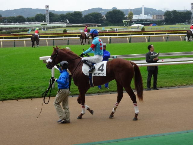 本馬場入場 キングスヴァリュー