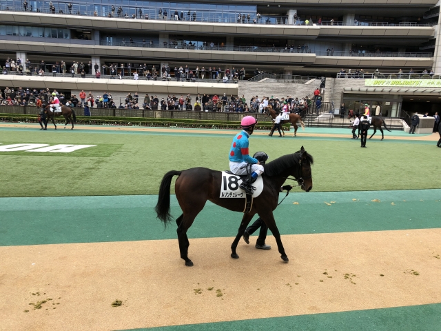 未勝利戦：パドック ルソンデュレーヴ