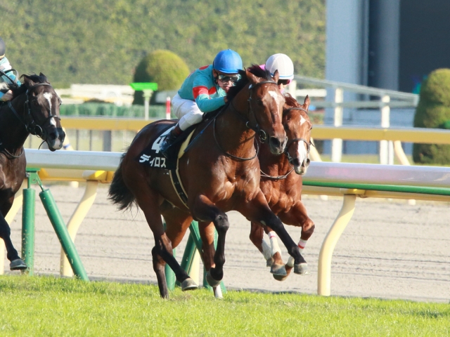 残り100m ディロス