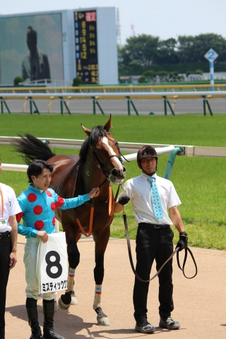 口取り ミスティックグロウ