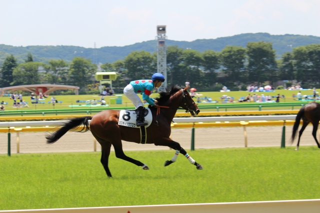 返し馬 ミスティックグロウ