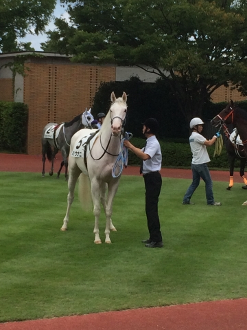 新馬戦パドック ハウナニ
