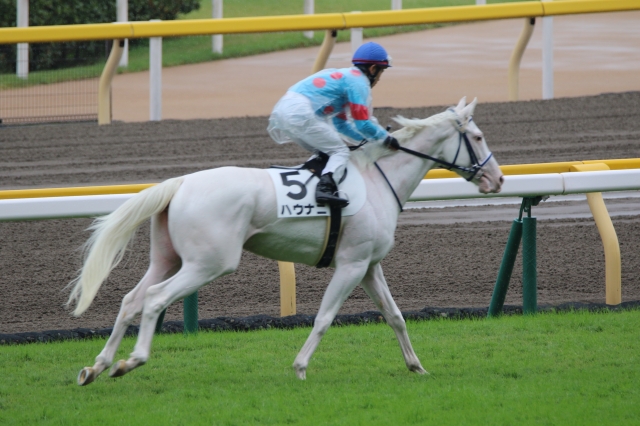 本馬場入場 ハウナニ