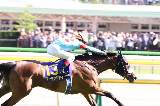 ルメールジョッキーありがとう アーモンドアイ
