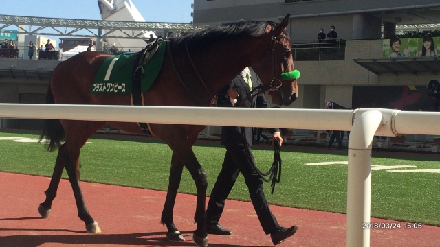 パドックにて ブラストワンピース