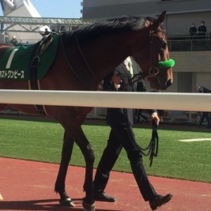パドックにて