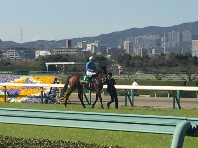 返し馬にて ブラストワンピース