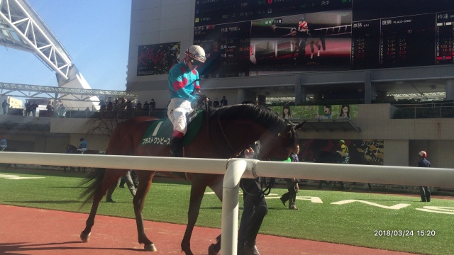 パドックにて ブラストワンピース